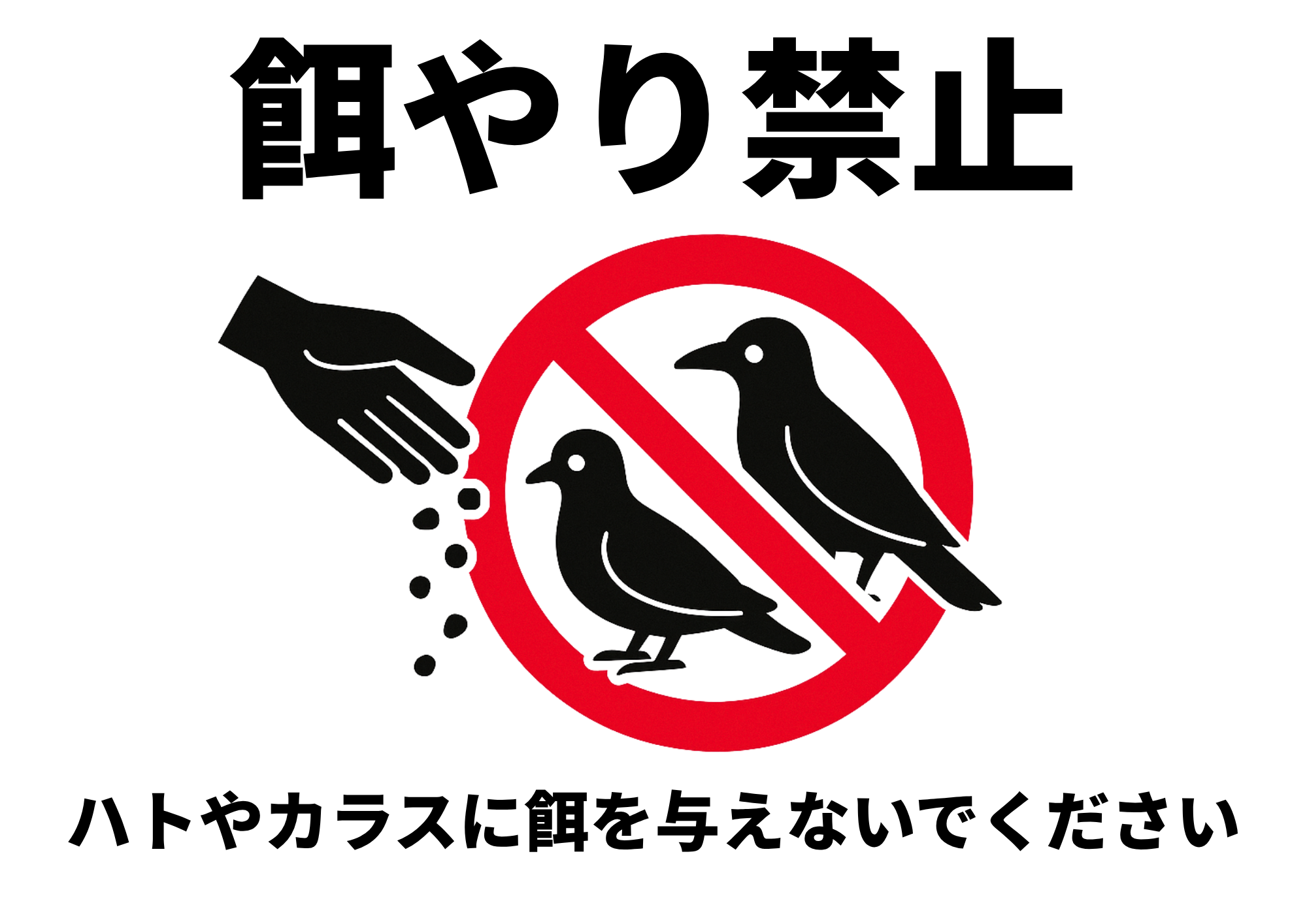 ハトやカラスへの餌やり禁止