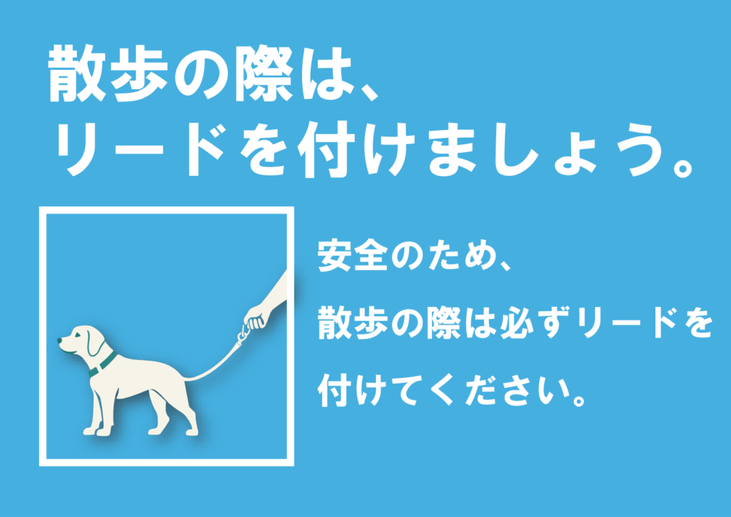 イラスト付き「リードをるけましょう」のポスター見本画像(横向きA4、水色の背景、リードを付けて犬の散歩をするイラスト、注意書き、白文字、日本語)