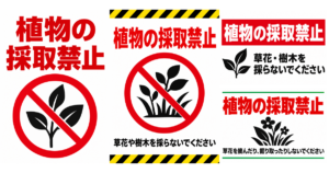 植物の採取禁止の貼り紙テンプレートのアイキャッチ、サムネイル